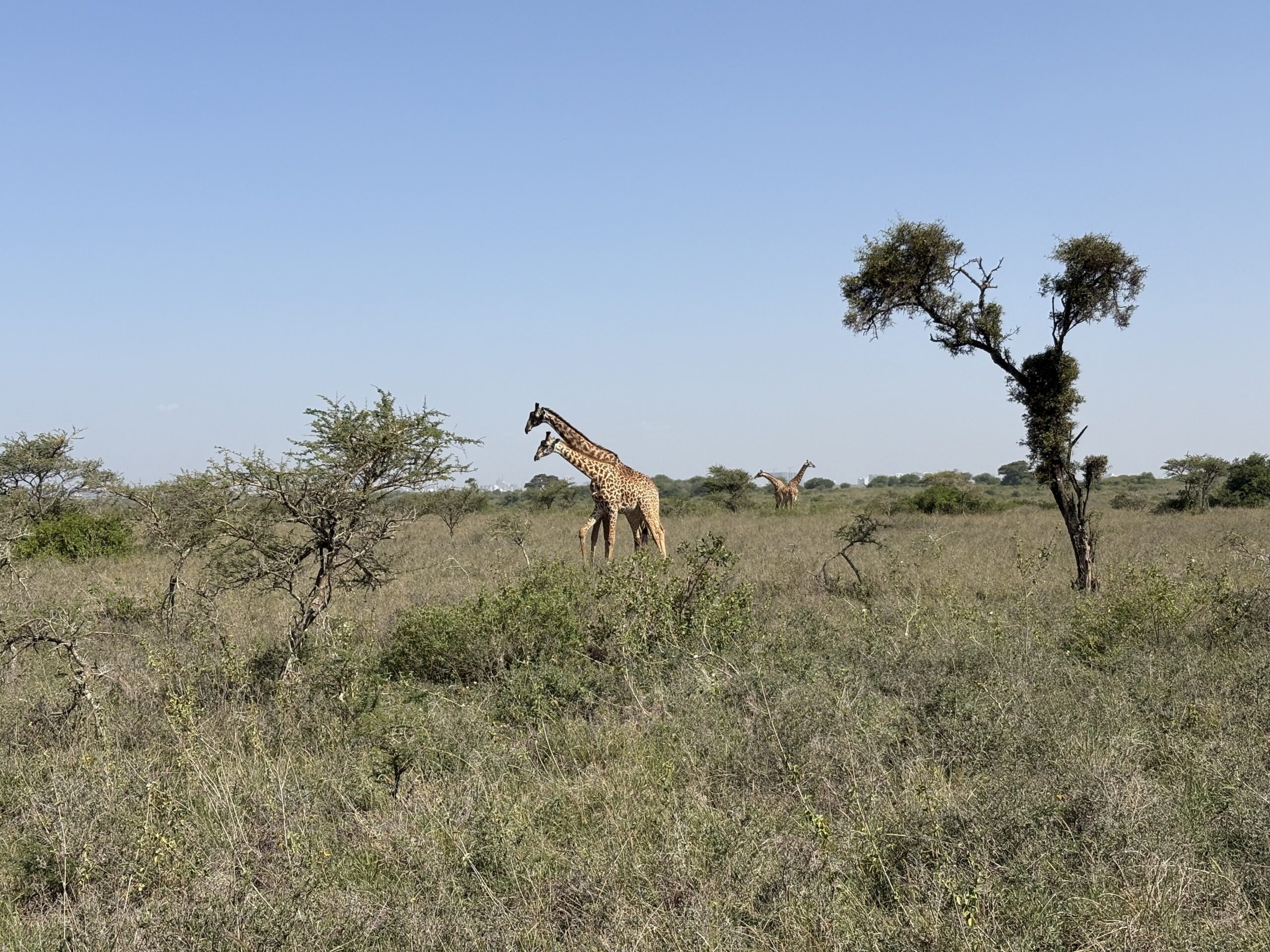 STI Advocacy in Kenya