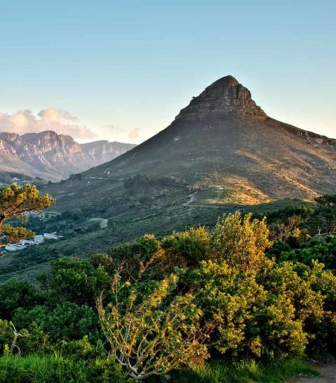 STI Advocacy in South Africa