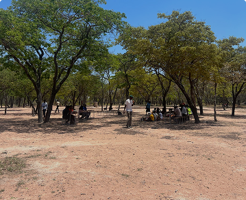STI Advocacy in Zimbabwe